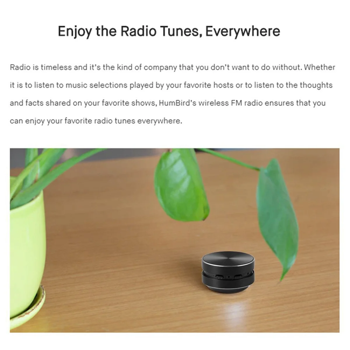 Portable bluetooth speaker